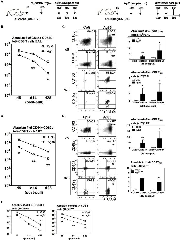 https://cdn.ncbi.nlm.nih.gov/pmc/blobs/7bc6/6747041/2536dfe459d4/fimmu-10-02075-g0002.jpg