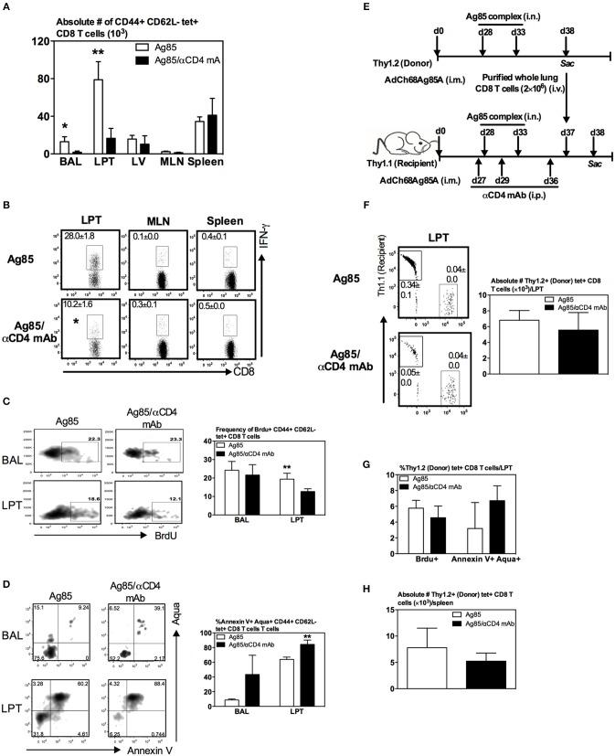 https://cdn.ncbi.nlm.nih.gov/pmc/blobs/7bc6/6747041/5e7758224e0e/fimmu-10-02075-g0006.jpg