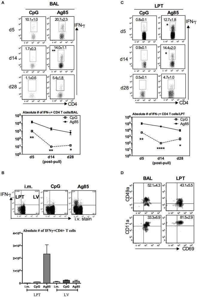https://cdn.ncbi.nlm.nih.gov/pmc/blobs/7bc6/6747041/60d956df94ce/fimmu-10-02075-g0004.jpg