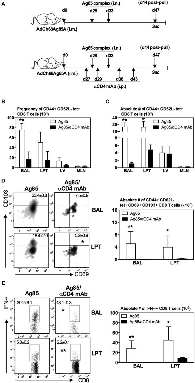 https://cdn.ncbi.nlm.nih.gov/pmc/blobs/7bc6/6747041/92c176657b7c/fimmu-10-02075-g0005.jpg