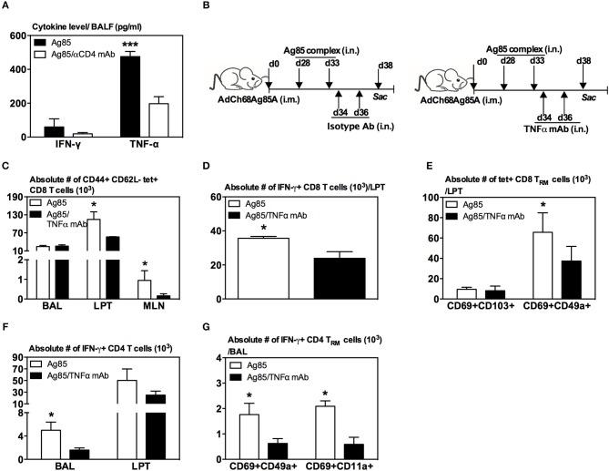https://cdn.ncbi.nlm.nih.gov/pmc/blobs/7bc6/6747041/ff18a2fed5db/fimmu-10-02075-g0007.jpg