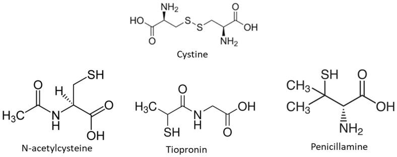 https://cdn.ncbi.nlm.nih.gov/pmc/blobs/7bc7/11122214/39f34f241def/jcm-13-02837-g001.jpg