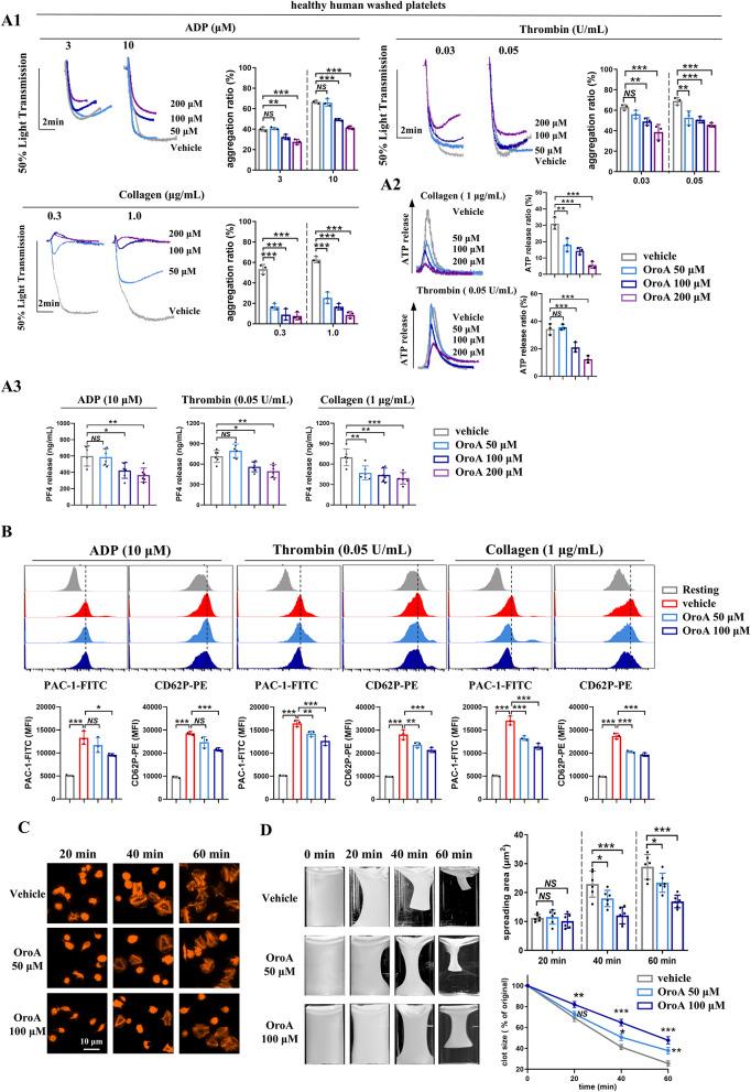 https://cdn.ncbi.nlm.nih.gov/pmc/blobs/7bc7/11921655/98d69ffe6ed2/12959_2025_709_Fig4_HTML.jpg