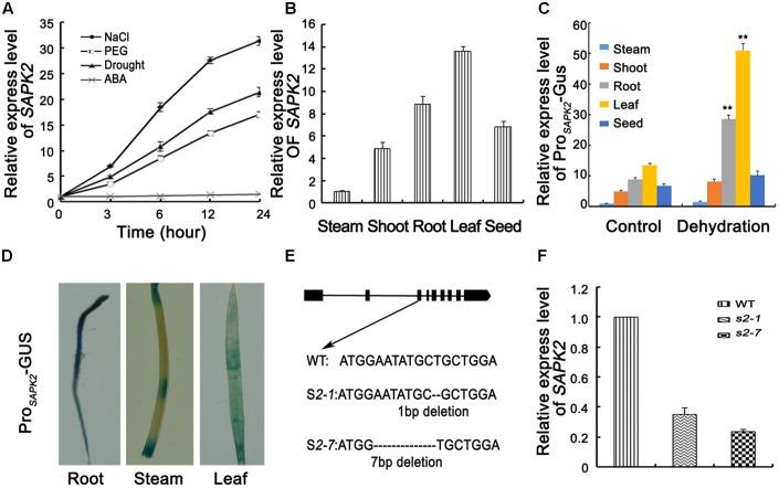 https://cdn.ncbi.nlm.nih.gov/pmc/blobs/7bc7/5468418/dae1579e329e/fpls-08-00993-g001.jpg