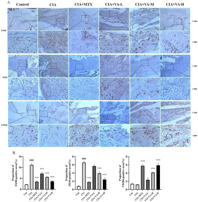 https://cdn.ncbi.nlm.nih.gov/pmc/blobs/7bca/11991997/5822fc52cb79/10787_2025_1645_Fig3_HTML.jpg