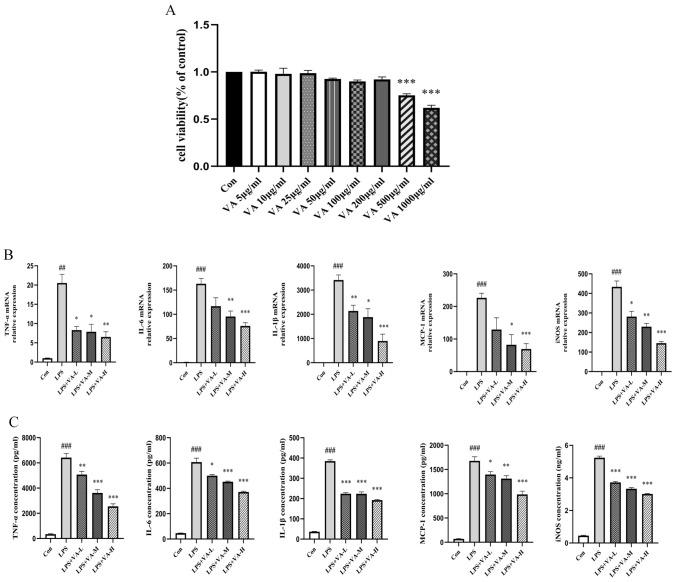 https://cdn.ncbi.nlm.nih.gov/pmc/blobs/7bca/11991997/b4cc738ea634/10787_2025_1645_Fig5_HTML.jpg