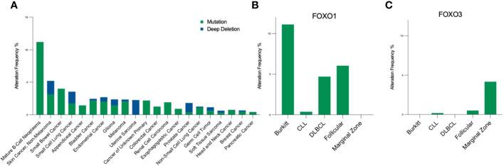 https://cdn.ncbi.nlm.nih.gov/pmc/blobs/7bcb/10233034/742390673895/fimmu-14-1179101-g004.jpg