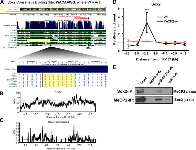 https://cdn.ncbi.nlm.nih.gov/pmc/blobs/7bcb/2854370/97c41b9318ec/JCB_200908151_RGB_Fig3.jpg