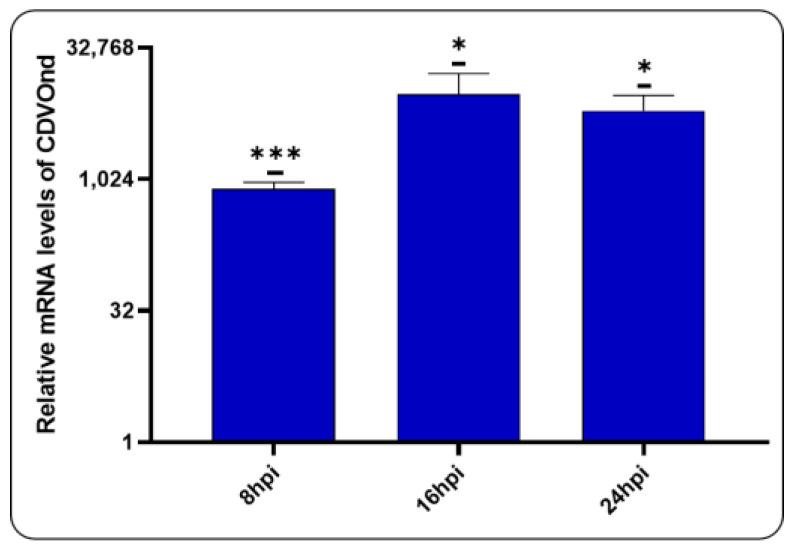 https://cdn.ncbi.nlm.nih.gov/pmc/blobs/7bcc/11680218/57b5c4b906d5/viruses-16-01846-g007.jpg