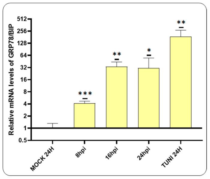 https://cdn.ncbi.nlm.nih.gov/pmc/blobs/7bcc/11680218/5b3d33535617/viruses-16-01846-g001.jpg