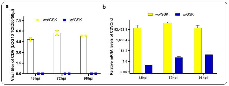 https://cdn.ncbi.nlm.nih.gov/pmc/blobs/7bcc/11680218/b4a6f2304379/viruses-16-01846-g008.jpg