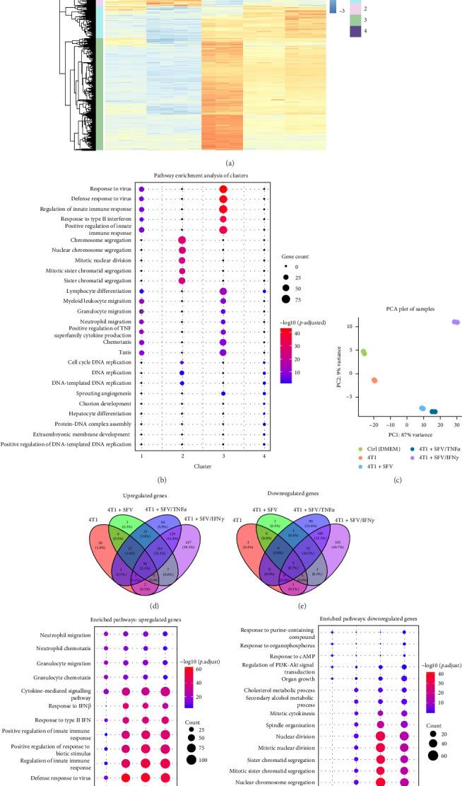 https://cdn.ncbi.nlm.nih.gov/pmc/blobs/7bcc/12181664/16e01111e9b5/JIR2025-6573891.003.jpg