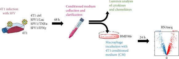 https://cdn.ncbi.nlm.nih.gov/pmc/blobs/7bcc/12181664/7674a3d6896e/JIR2025-6573891.001.jpg