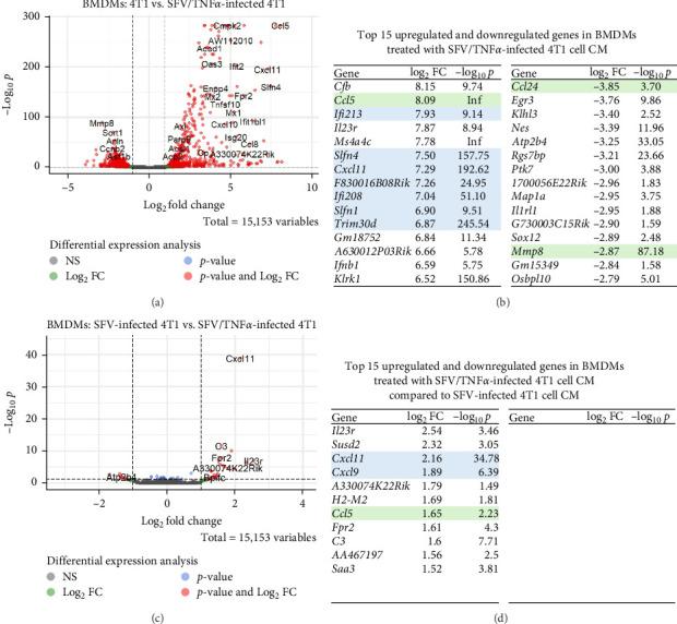 https://cdn.ncbi.nlm.nih.gov/pmc/blobs/7bcc/12181664/e2ce90feb24d/JIR2025-6573891.006.jpg