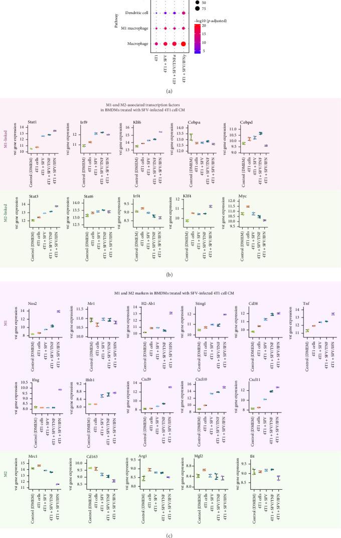 https://cdn.ncbi.nlm.nih.gov/pmc/blobs/7bcc/12181664/e9641e7bab56/JIR2025-6573891.008.jpg