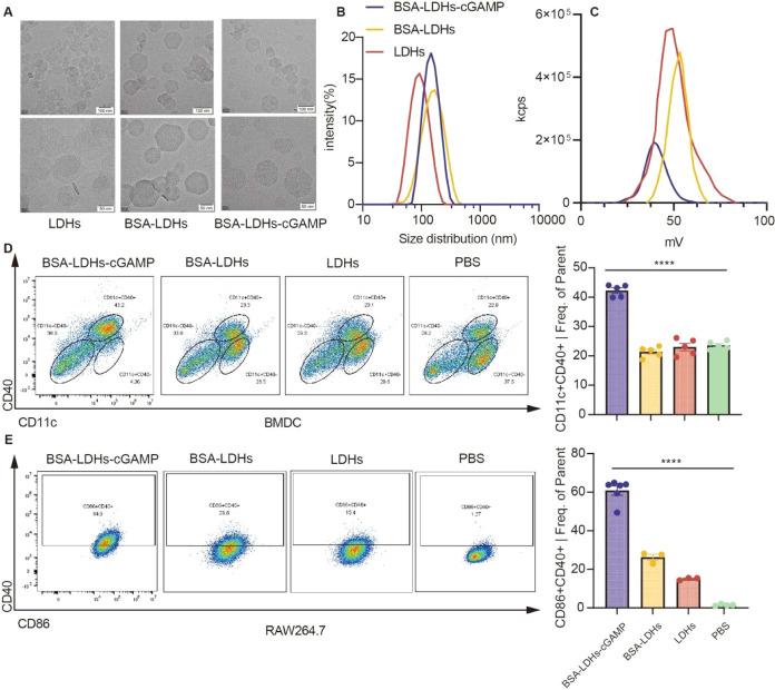 https://cdn.ncbi.nlm.nih.gov/pmc/blobs/7bd0/12344641/8c1620cd2213/ab5c00333_0002.jpg
