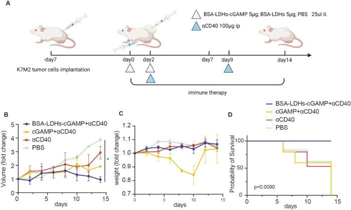 https://cdn.ncbi.nlm.nih.gov/pmc/blobs/7bd0/12344641/adfd00536774/ab5c00333_0004.jpg