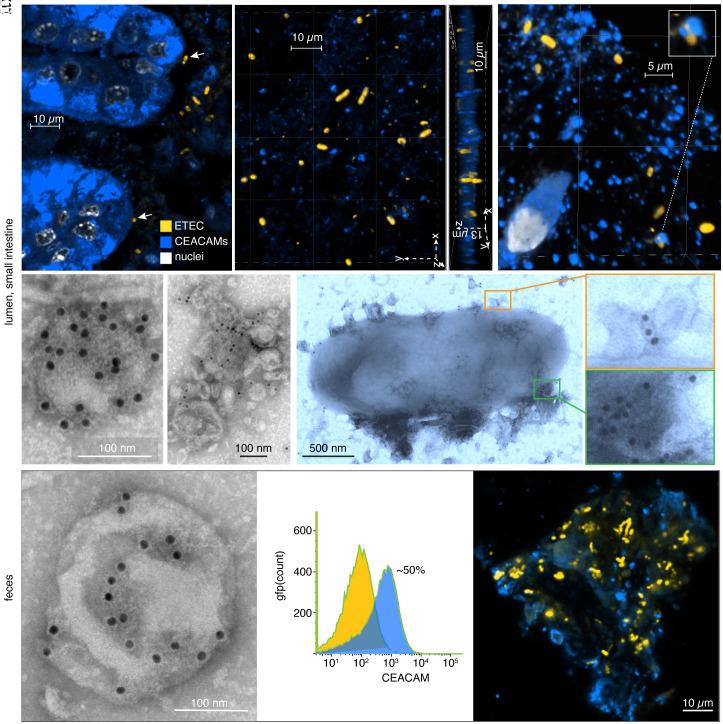 https://cdn.ncbi.nlm.nih.gov/pmc/blobs/7bd5/11420188/aa631adbccc0/pnas.2410679121fig02.jpg