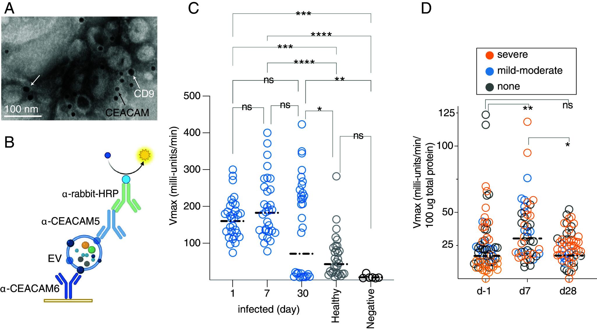 https://cdn.ncbi.nlm.nih.gov/pmc/blobs/7bd5/11420188/b803519d908d/pnas.2410679121fig06.jpg