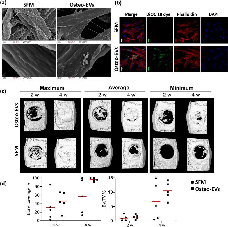 https://cdn.ncbi.nlm.nih.gov/pmc/blobs/7bd8/10848378/15c4fa94f864/13287_2024_3639_Fig5_HTML.jpg