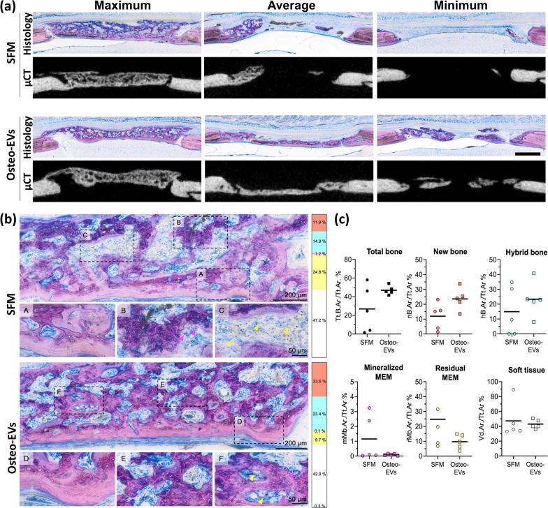 https://cdn.ncbi.nlm.nih.gov/pmc/blobs/7bd8/10848378/220fb1c06c1d/13287_2024_3639_Fig6_HTML.jpg