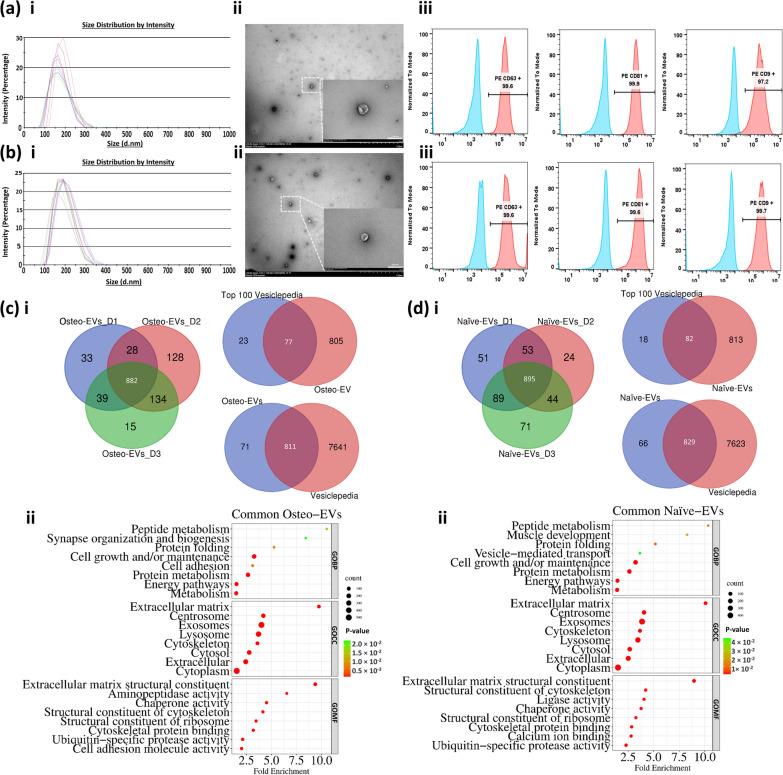 https://cdn.ncbi.nlm.nih.gov/pmc/blobs/7bd8/10848378/c757cbc29aee/13287_2024_3639_Fig1_HTML.jpg