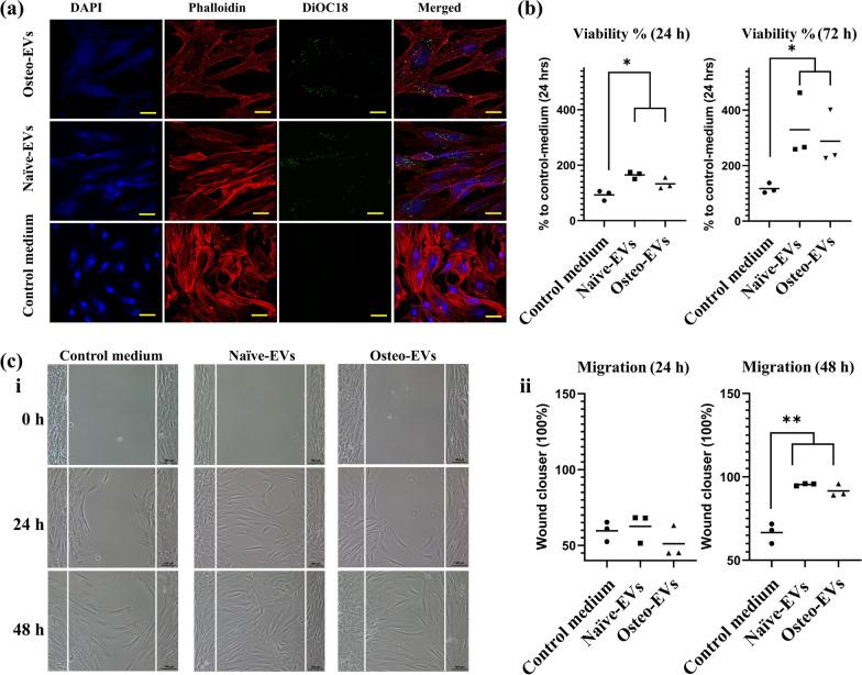 https://cdn.ncbi.nlm.nih.gov/pmc/blobs/7bd8/10848378/da1e47bd7b90/13287_2024_3639_Fig3_HTML.jpg
