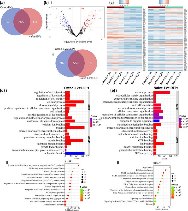 https://cdn.ncbi.nlm.nih.gov/pmc/blobs/7bd8/10848378/ecbc8b58f7c1/13287_2024_3639_Fig2_HTML.jpg