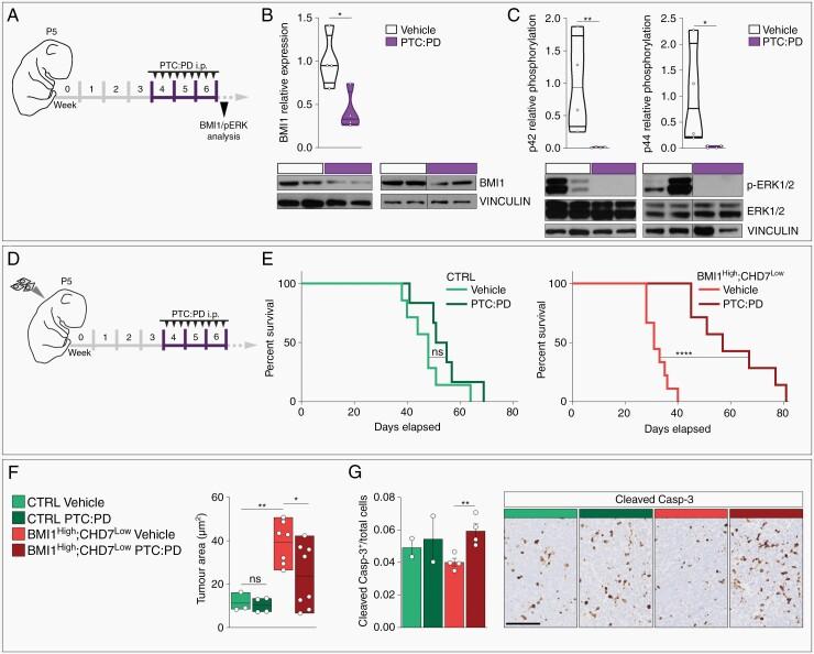 https://cdn.ncbi.nlm.nih.gov/pmc/blobs/7bd8/9340634/616cdbf942f3/noac052f0005.jpg