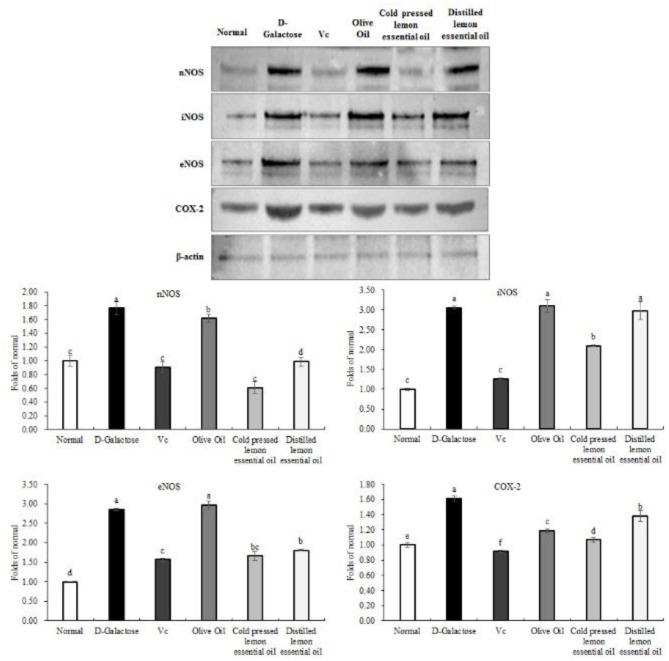 https://cdn.ncbi.nlm.nih.gov/pmc/blobs/7bda/8236505/3ba472e99128/fnut-08-689094-g0008.jpg