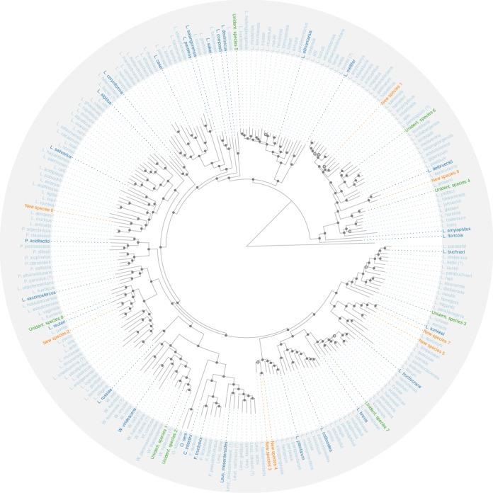 https://cdn.ncbi.nlm.nih.gov/pmc/blobs/7bdd/6722421/ce083e45dc8f/mSystems.00264-19-f0003.jpg