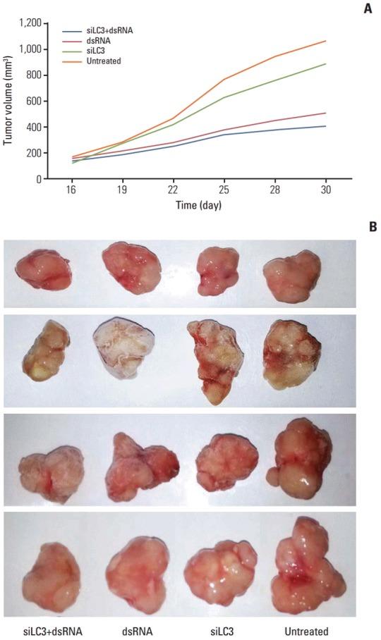 https://cdn.ncbi.nlm.nih.gov/pmc/blobs/7bde/5266382/3f8faa281ea0/crt-2015-506f8.jpg