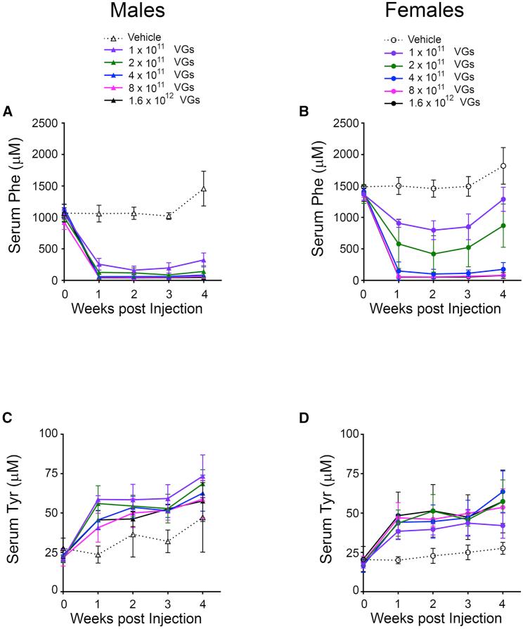 https://cdn.ncbi.nlm.nih.gov/pmc/blobs/7be1/7118282/549fa0be930f/gr6.jpg