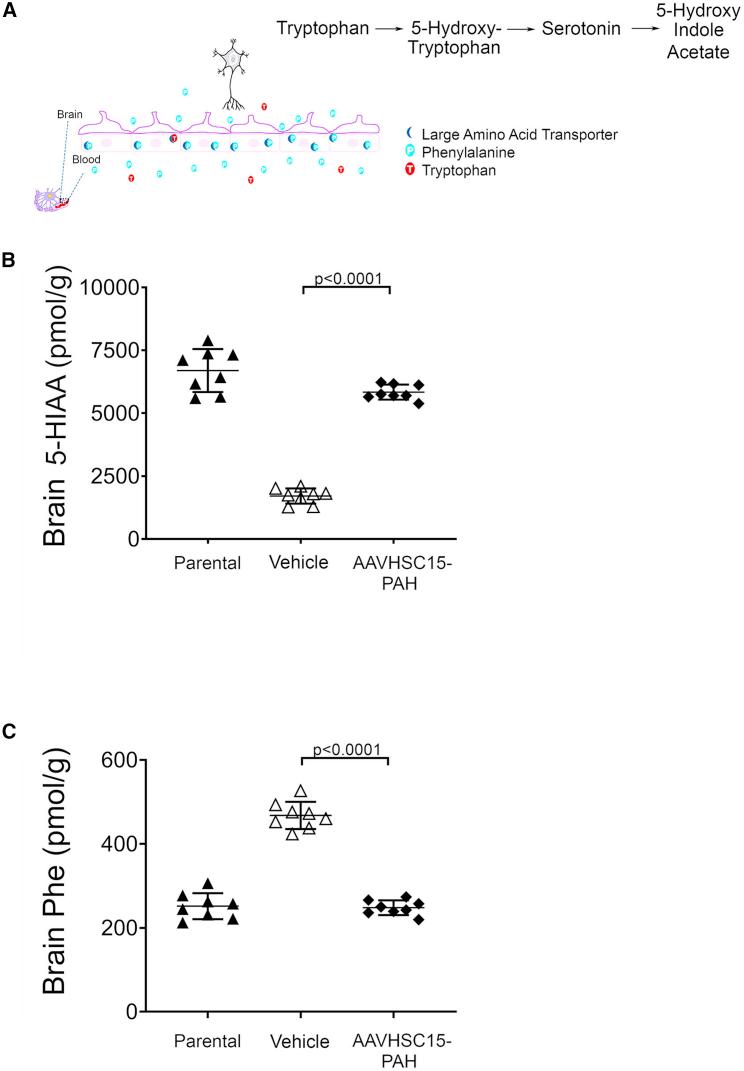 https://cdn.ncbi.nlm.nih.gov/pmc/blobs/7be1/7118282/84051edad854/gr5.jpg