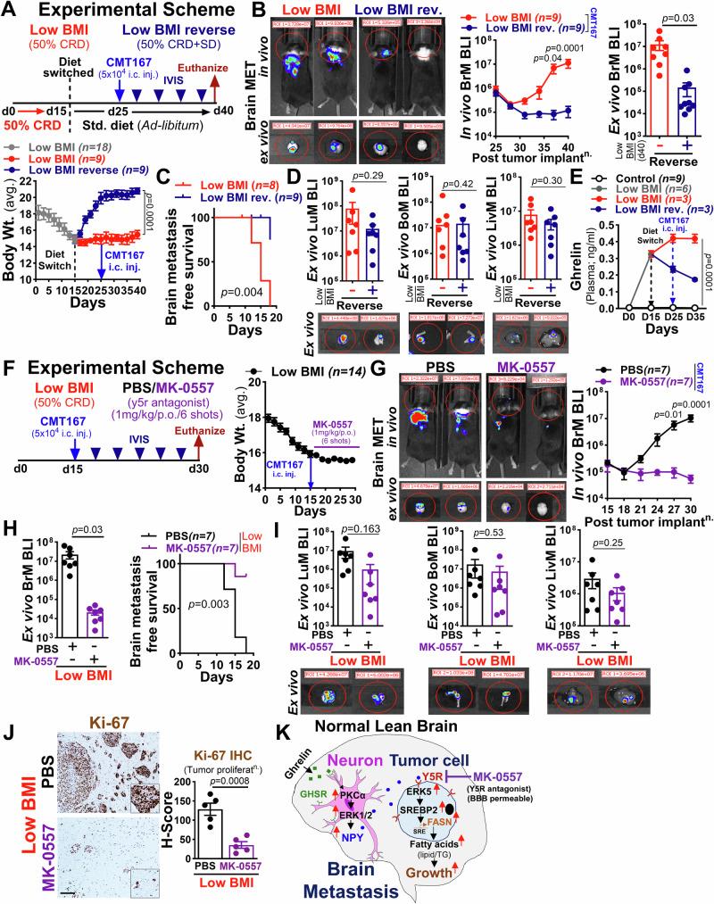 https://cdn.ncbi.nlm.nih.gov/pmc/blobs/7be6/12218320/76b4e6bbd5af/41467_2025_60730_Fig5_HTML.jpg
