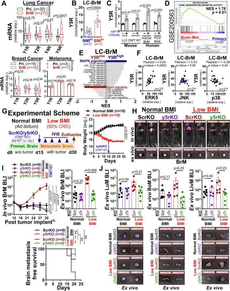 https://cdn.ncbi.nlm.nih.gov/pmc/blobs/7be6/12218320/86d569b814aa/41467_2025_60730_Fig3_HTML.jpg