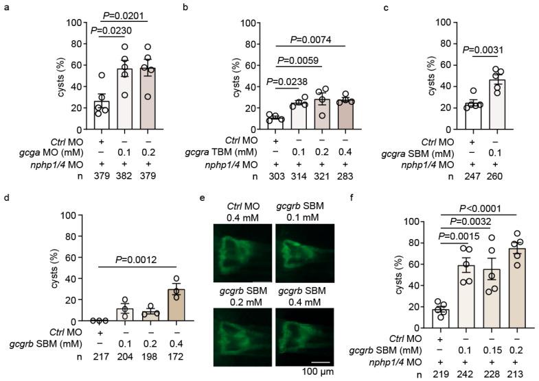 https://cdn.ncbi.nlm.nih.gov/pmc/blobs/7be7/12347336/546179dd7601/ijms-26-07366-g003.jpg