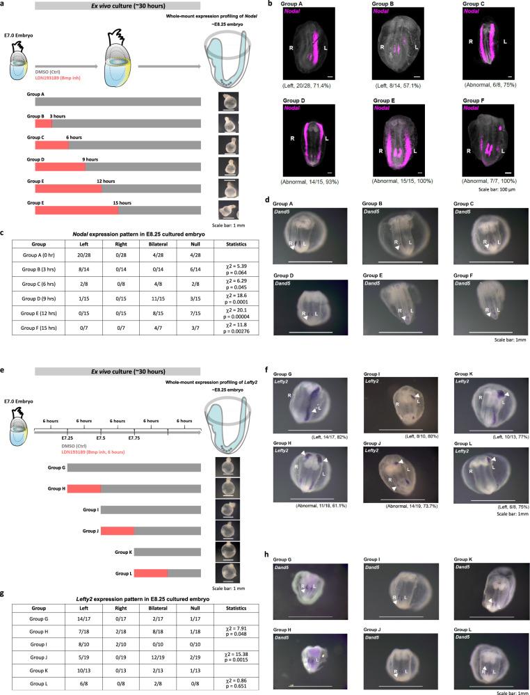 https://cdn.ncbi.nlm.nih.gov/pmc/blobs/7be8/10502153/15af7472aa98/41467_2023_41482_Fig6_HTML.jpg