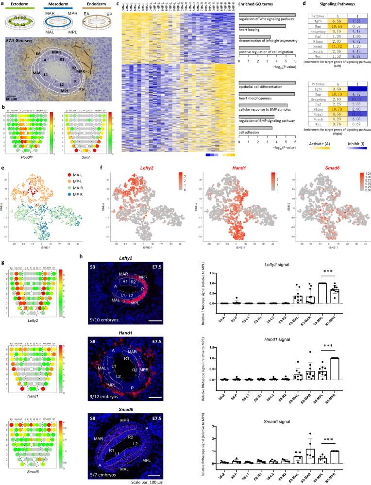 https://cdn.ncbi.nlm.nih.gov/pmc/blobs/7be8/10502153/3dbcfde32704/41467_2023_41482_Fig5_HTML.jpg