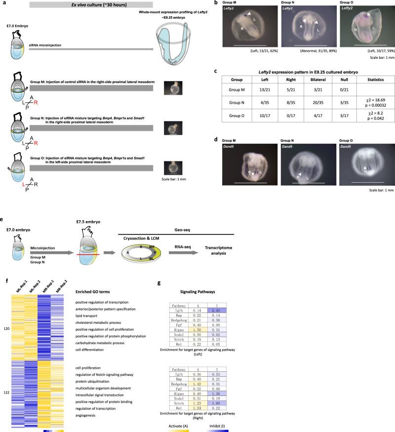 https://cdn.ncbi.nlm.nih.gov/pmc/blobs/7be8/10502153/aaff0df040a8/41467_2023_41482_Fig7_HTML.jpg