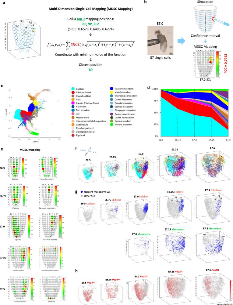 https://cdn.ncbi.nlm.nih.gov/pmc/blobs/7be8/10502153/c8acf609ed73/41467_2023_41482_Fig2_HTML.jpg