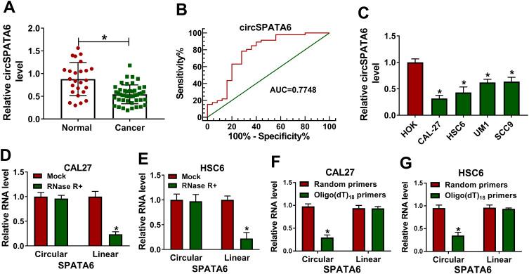 https://cdn.ncbi.nlm.nih.gov/pmc/blobs/7be8/7910102/03d7eecef919/CMAR-13-1817-g0001.jpg