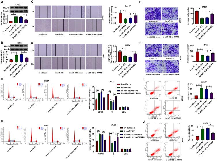 https://cdn.ncbi.nlm.nih.gov/pmc/blobs/7be8/7910102/9eab85fe5912/CMAR-13-1817-g0006.jpg