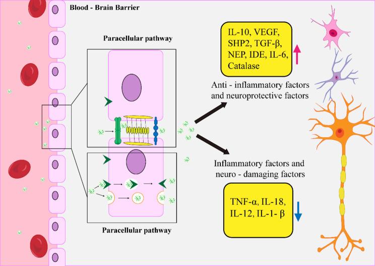https://cdn.ncbi.nlm.nih.gov/pmc/blobs/7beb/11846194/d715fd0d2750/13287_2025_4160_Fig3_HTML.jpg