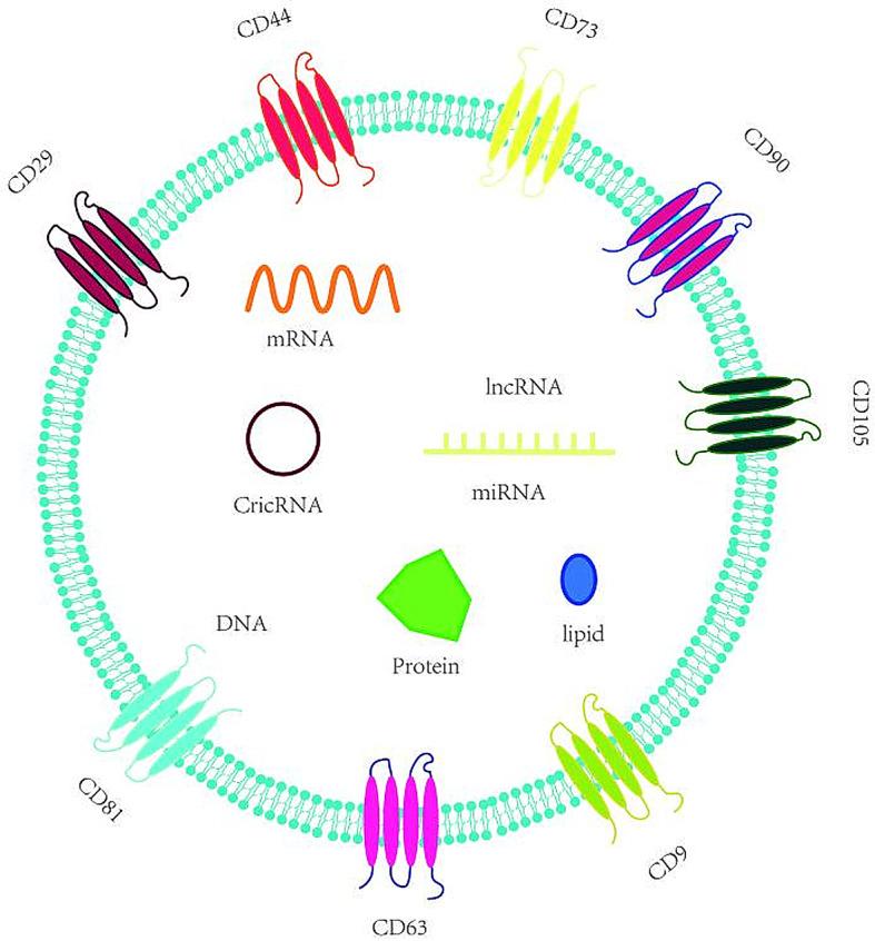 https://cdn.ncbi.nlm.nih.gov/pmc/blobs/7beb/11846194/d93ecedcfebf/13287_2025_4160_Fig2_HTML.jpg