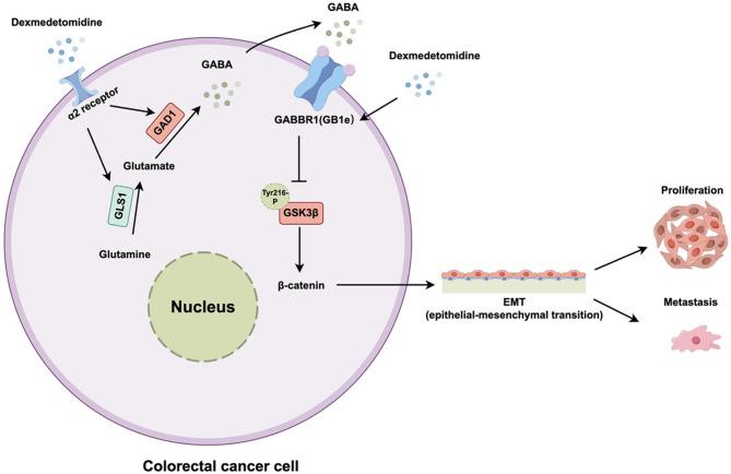 https://cdn.ncbi.nlm.nih.gov/pmc/blobs/7beb/12186342/13b792344ab0/40170_2025_403_Fig9_HTML.jpg