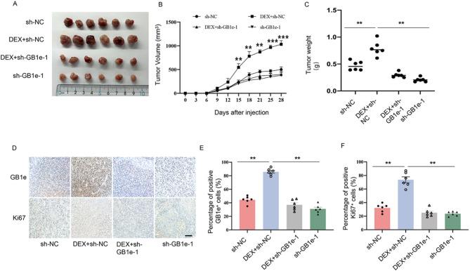 https://cdn.ncbi.nlm.nih.gov/pmc/blobs/7beb/12186342/bc453982703f/40170_2025_403_Fig8_HTML.jpg