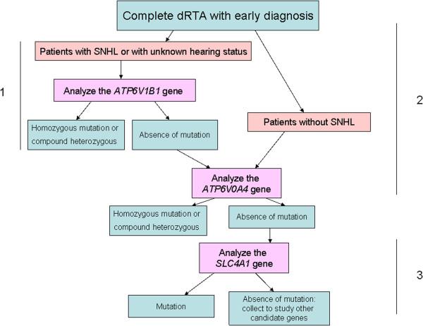 https://cdn.ncbi.nlm.nih.gov/pmc/blobs/7beb/4225572/df04226318ca/1471-2350-14-119-1.jpg