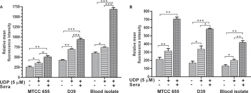 https://cdn.ncbi.nlm.nih.gov/pmc/blobs/7bed/7597228/8d7a641846d4/DTI-14-26-g005.jpg