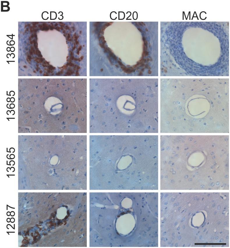 https://cdn.ncbi.nlm.nih.gov/pmc/blobs/7bef/4763937/63c3a04f4e77/pone.0149776.g002.jpg